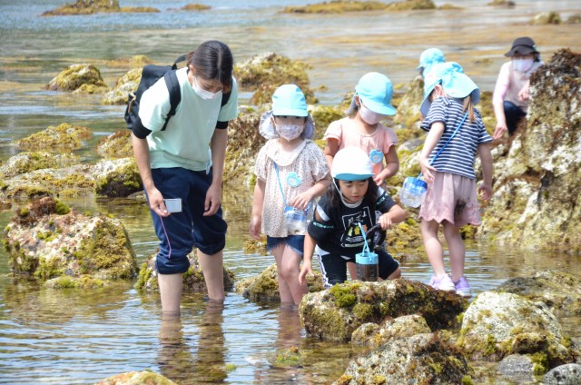 こども園交流会で生き物を探す園児たち＝南伊豆町大瀬の海岸