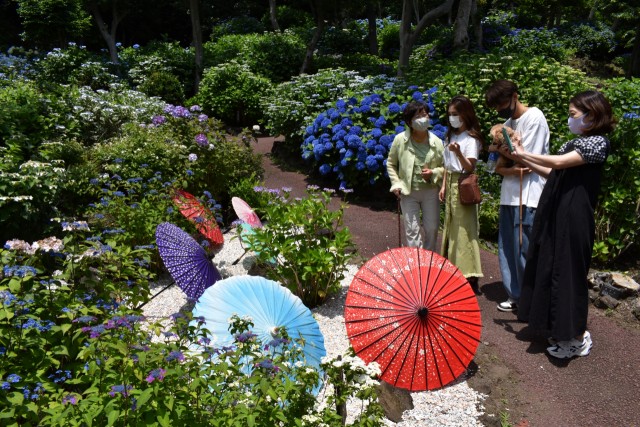 番傘を並べたフォトスポットで撮影を楽しむ家族連れ＝伊東市富戸のＮＹＬ