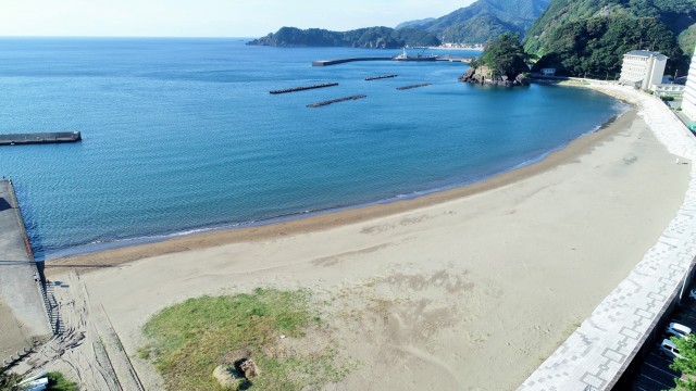 ごみがほとんど落ちていない真っ白な砂浜＝松崎町の松崎海岸