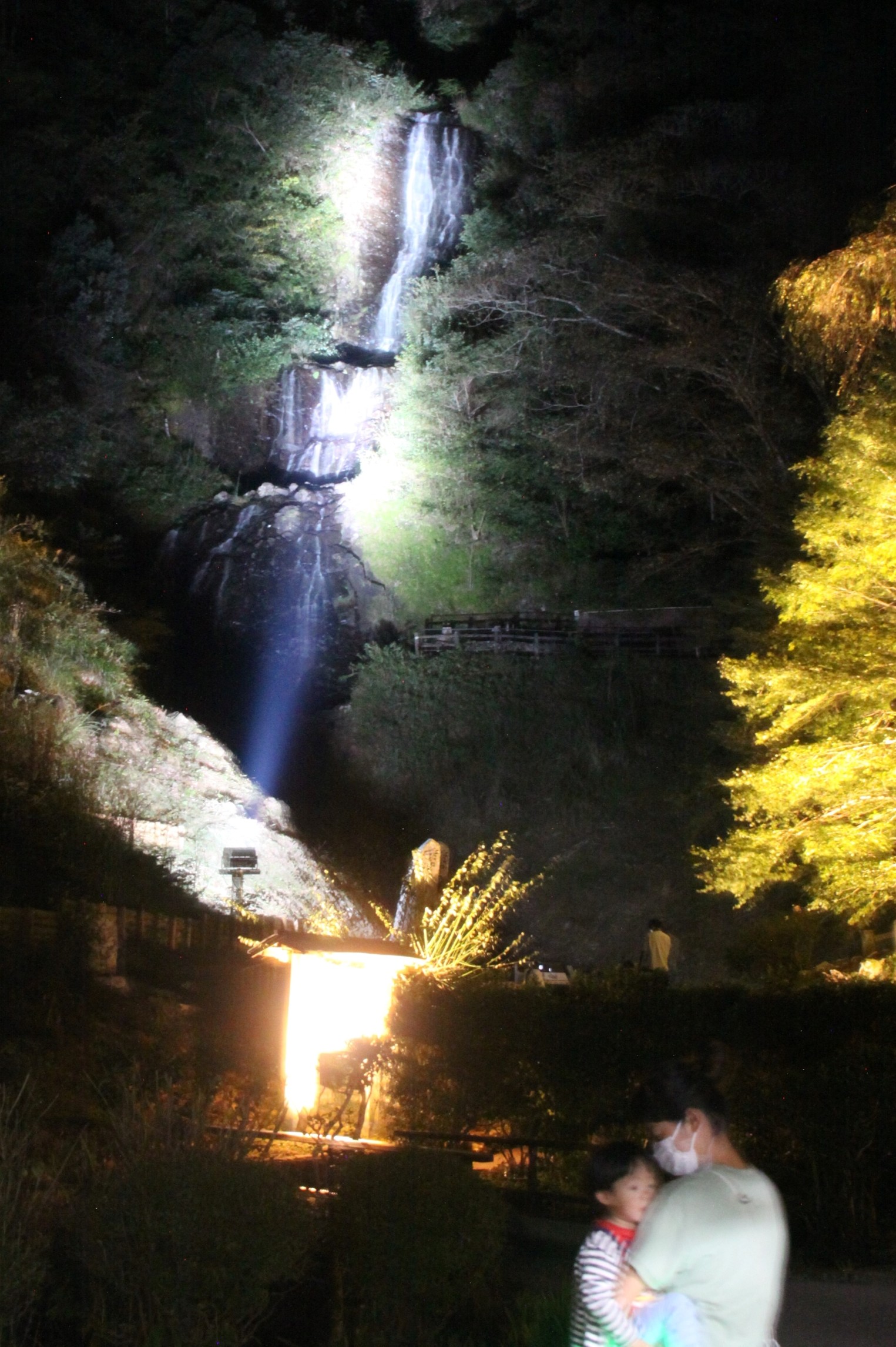 ライトアップされて白く輝く旭滝＝伊豆市大平