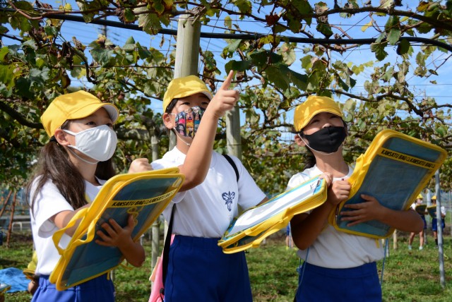 加々見さんが管理するブドウ畑を見学する児童たち＝伊豆の国市小坂