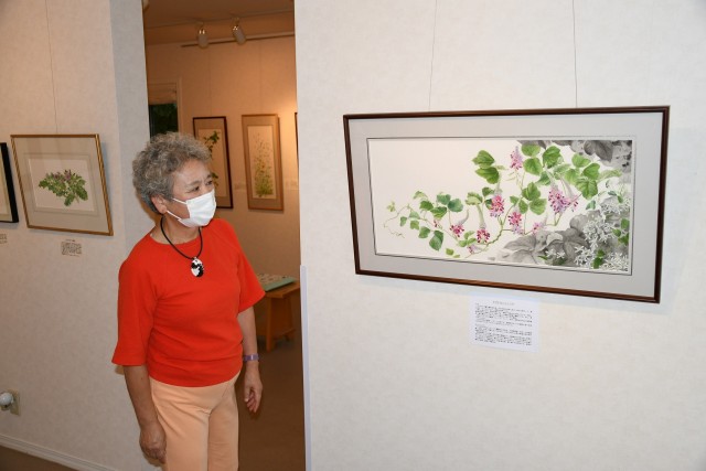 ３０年ぶりに描き直し展示した「クズとセンニンソウ」を眺める高橋さん＝伊東市大室高原の花の絵美術館