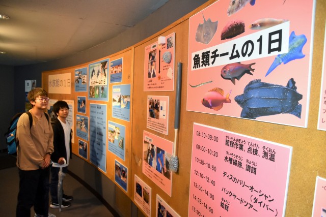 飼育員の一日のスケジュールなどを紹介する展示コーナー＝下田市の下田海中水族館