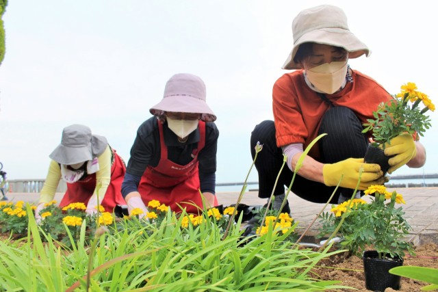 次々と花を植え込み花壇を彩る参加者＝熱海市渚町の第１親水公園