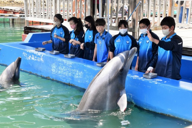 校外学習でイルカに餌をあげたり触ったりする生徒＝下田市の下田海中水族館