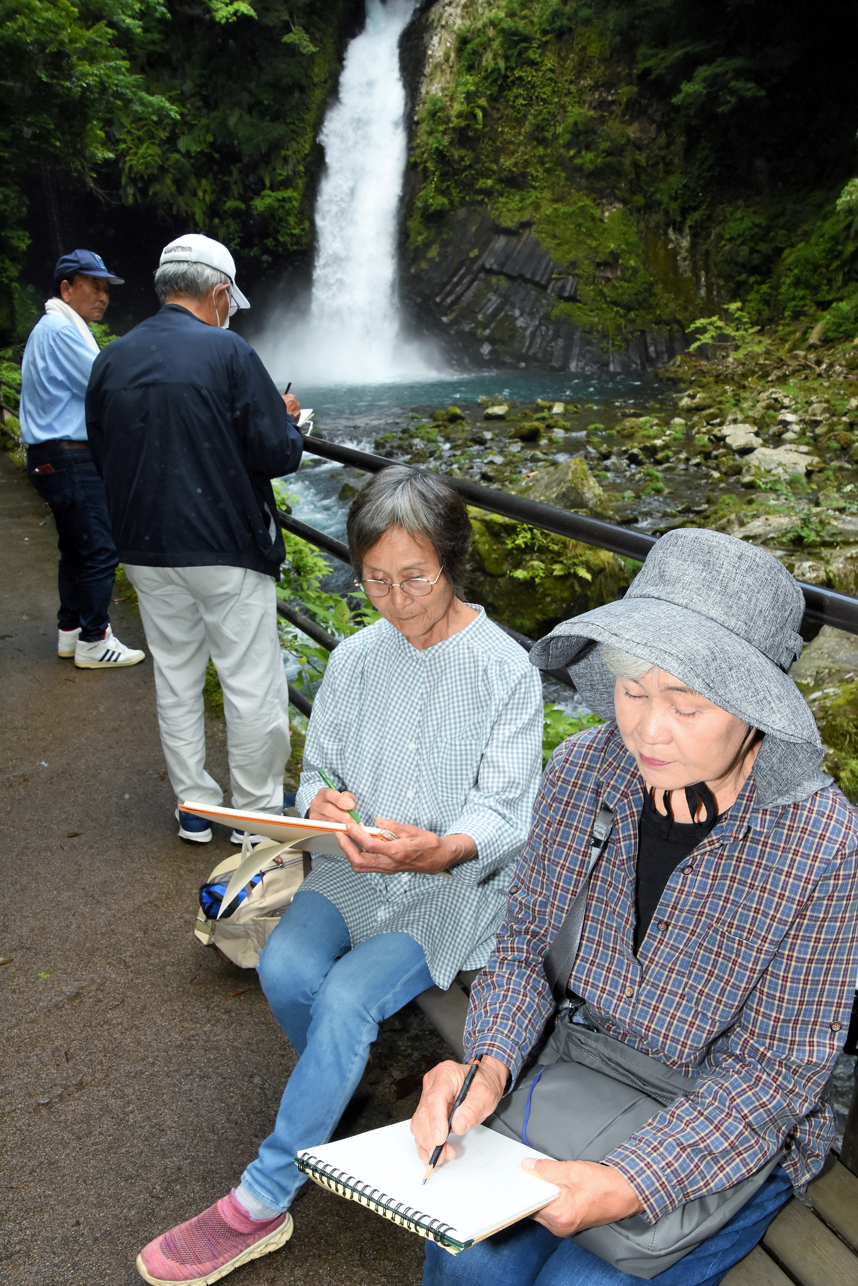 浄蓮の滝周辺でスケッチするＩＺＵアートクラブのメンバー＝伊豆市湯ケ島