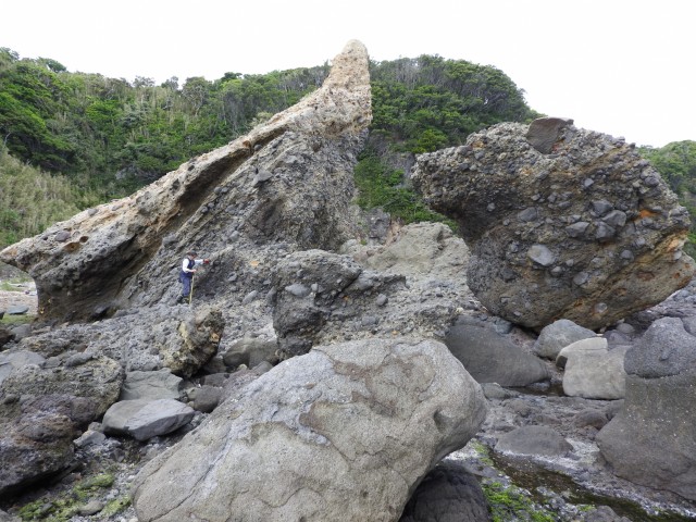 赤崎近くの海岸にあった面白い形をした巨岩。海底火山の堆積物が風化で、こんな形になったが、アニメっぽく目を引く