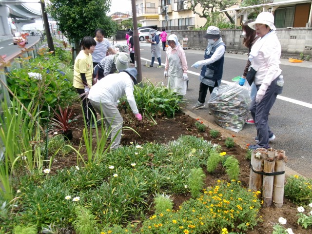 花壇の植え替えを行う函南町商工会女性部の部員たち＝函南町大土肥