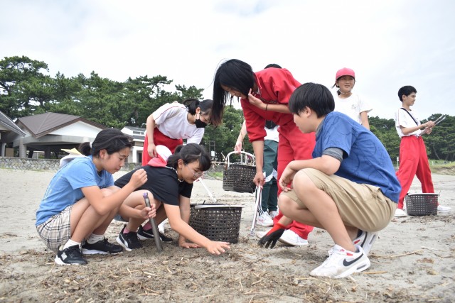 流木などを拾い集める生徒と児童＝南伊豆町の弓ケ浜海岸