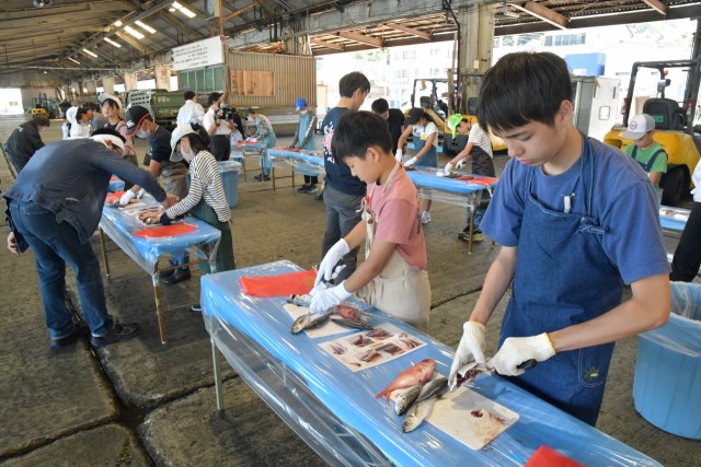 慣れない手付きで魚をさばき干物を作る子どもたち＝伊東市新井の伊東魚市場
