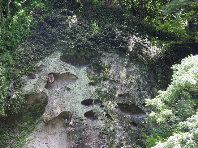 崖の上に開いた穴は『タフォニ』ではなく礫や岩が浸食や風化で抜け落ちできたか