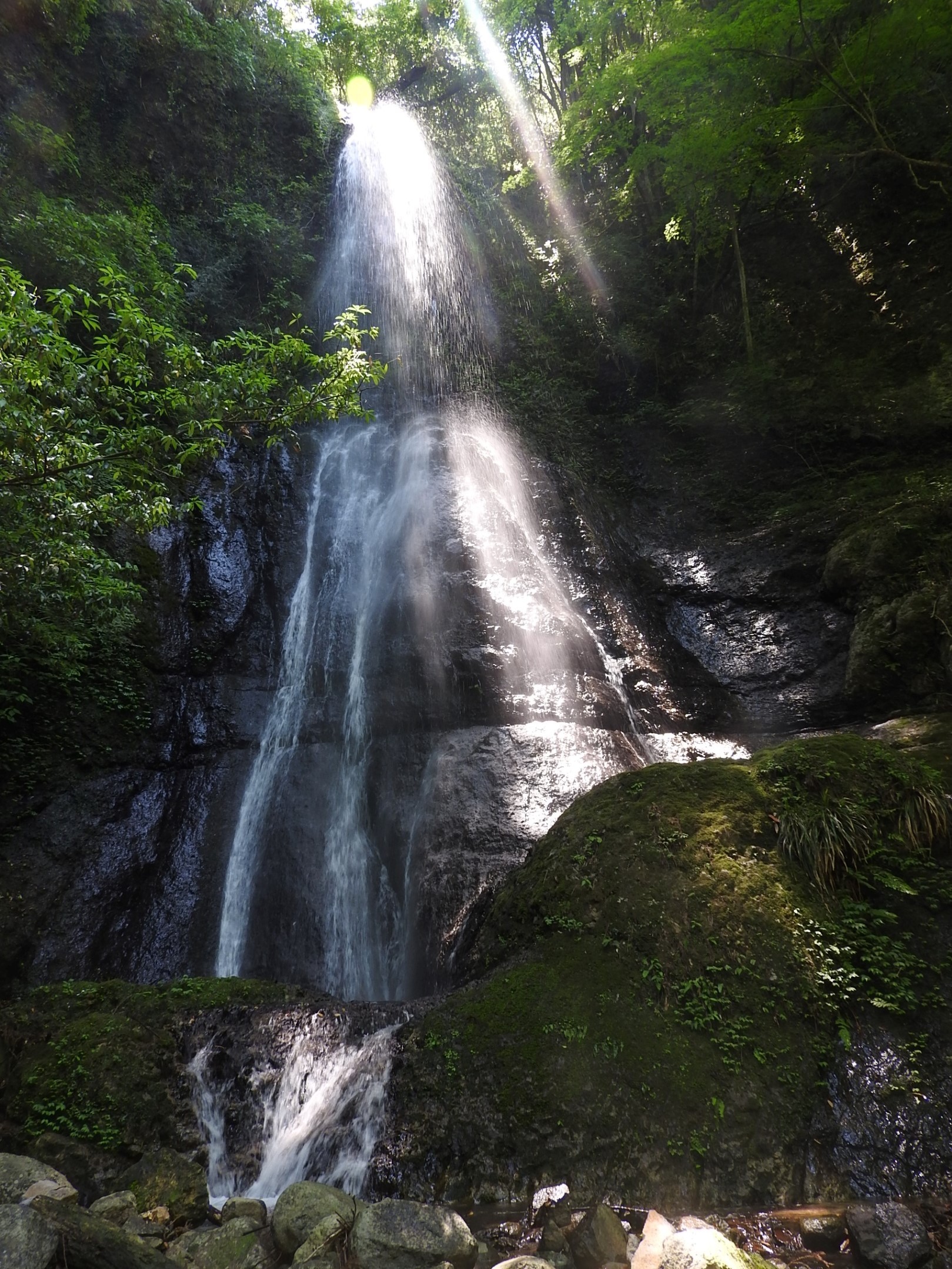 【１】東伊豆町を流れる白田川は水力発電所の下方で川久保川が分岐し、本流の取水口から上流が堰口（せきぐち）川。取水口の下流から分岐した小支流にウスバタの滝がある。林道から巨岩の目立つ山中を３０分ほど歩いた先に高さ３０メートルほどの美しい滝があり、名前の通り
