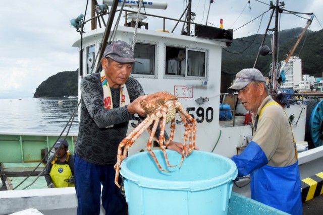 今季初のトロール漁で捕獲したタカアシガニを水揚げする漁師＝沼津市戸田