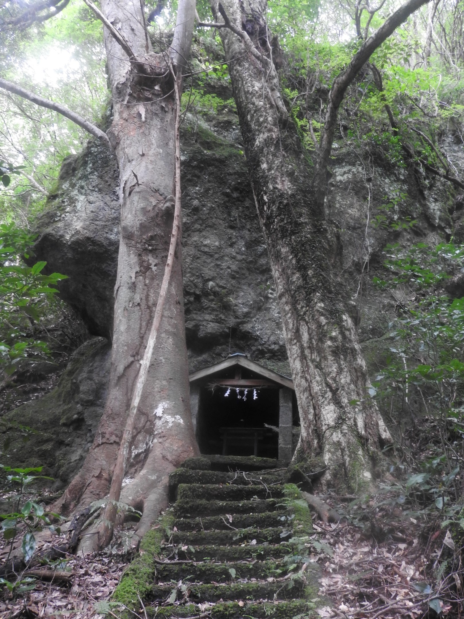 山口登山口から３００メートルほど入った所にある山神社。巨岩と巨木に囲まれ幽玄な雰囲気が漂う