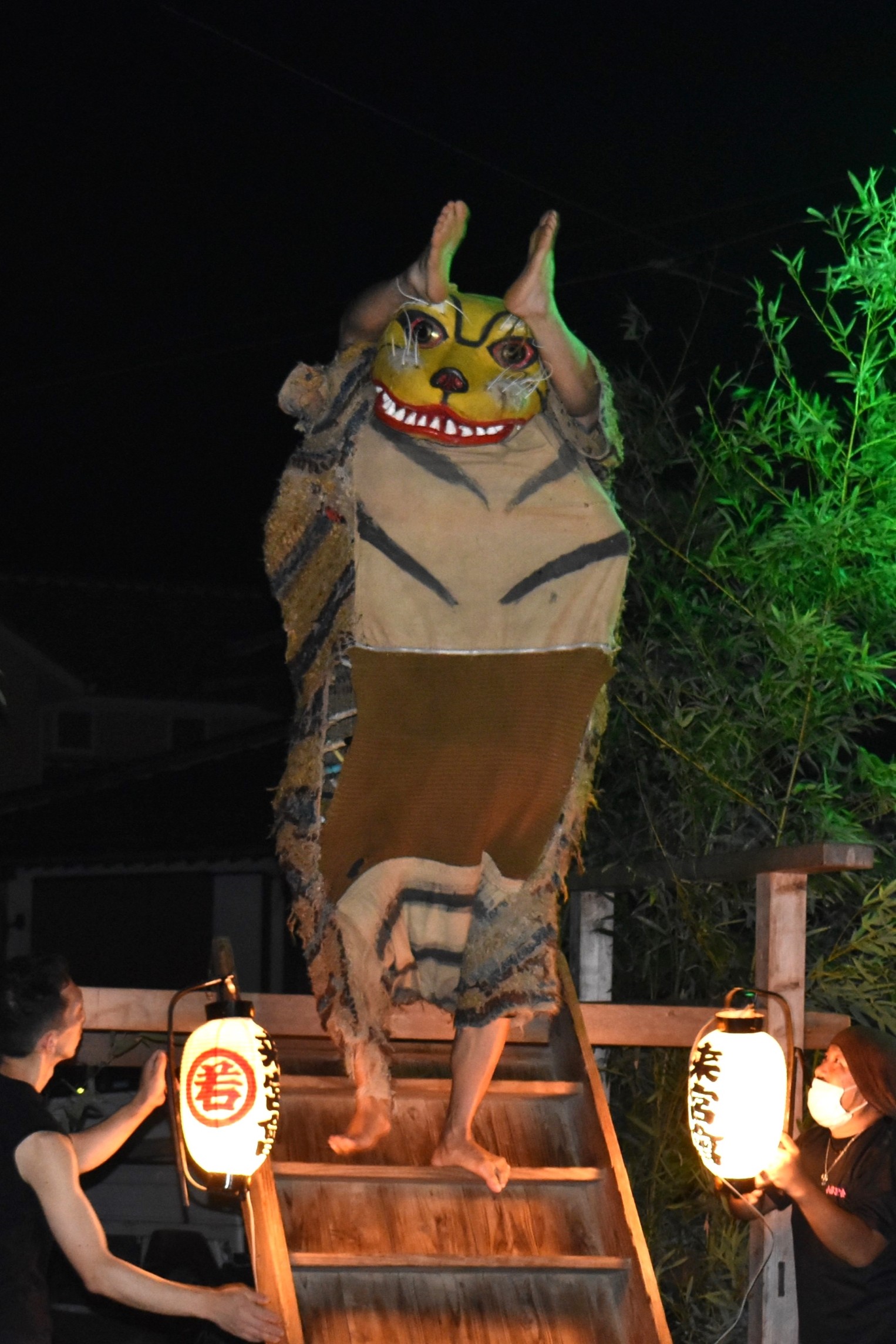 南伊豆町の小稲来宮神社の祭礼として４年ぶりに奉納上演された、勇壮な「小稲の虎舞」＝同町の小稲海岸（２７日）