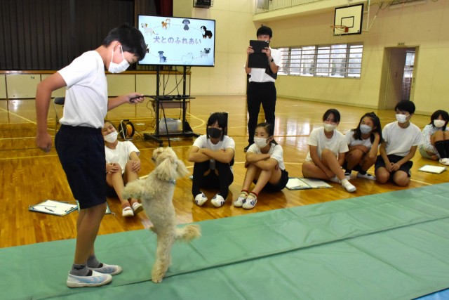 動物愛護教室で犬と触れ合う児童＝熱海市の伊豆山小（４日）