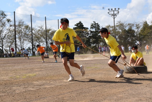 稲高祭体育の部でタイヤ引き競走を楽しむ生徒たち＝東伊豆町の稲取高（２０日）