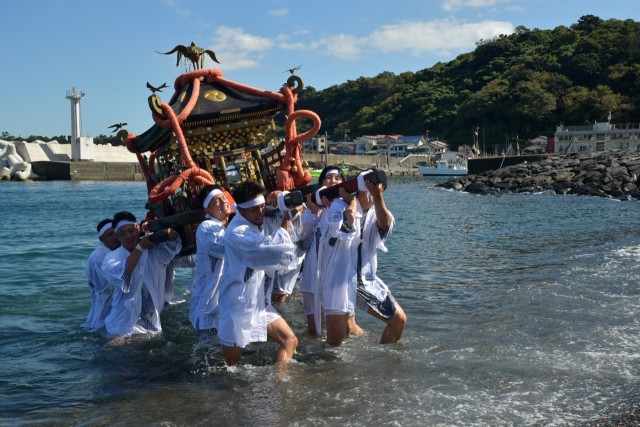 三島神社の例祭で海にみこしを担ぎ入れて練る若衆＝伊東市川奈（２２日）
