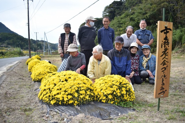 整備した休耕田に咲いたざる菊を見て笑顔を浮かべる老人クラブ会員ら＝南伊豆町市之瀬