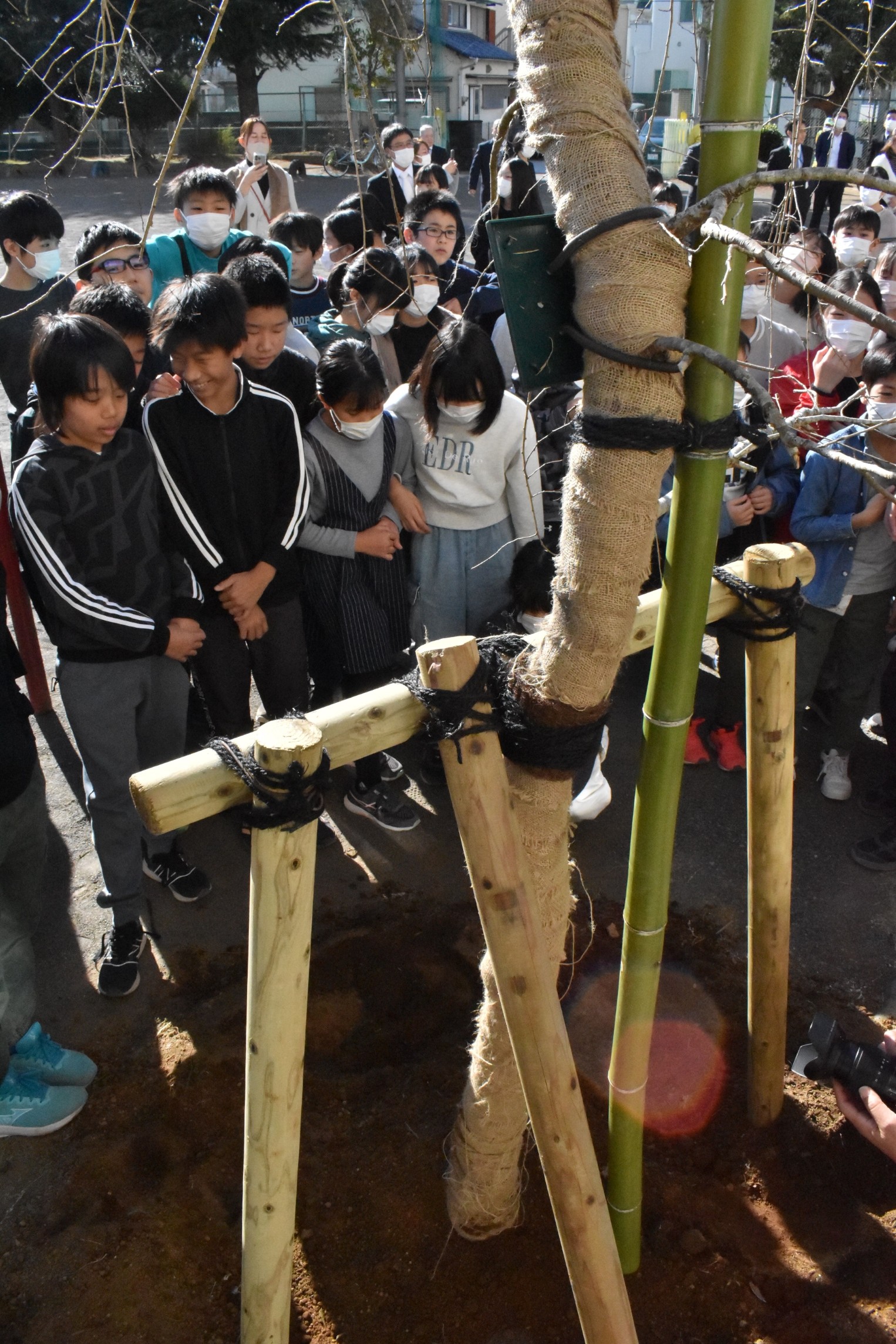 １５０周年を祝い植樹したしだれ桜を見る児童たち＝三島市の徳倉小
