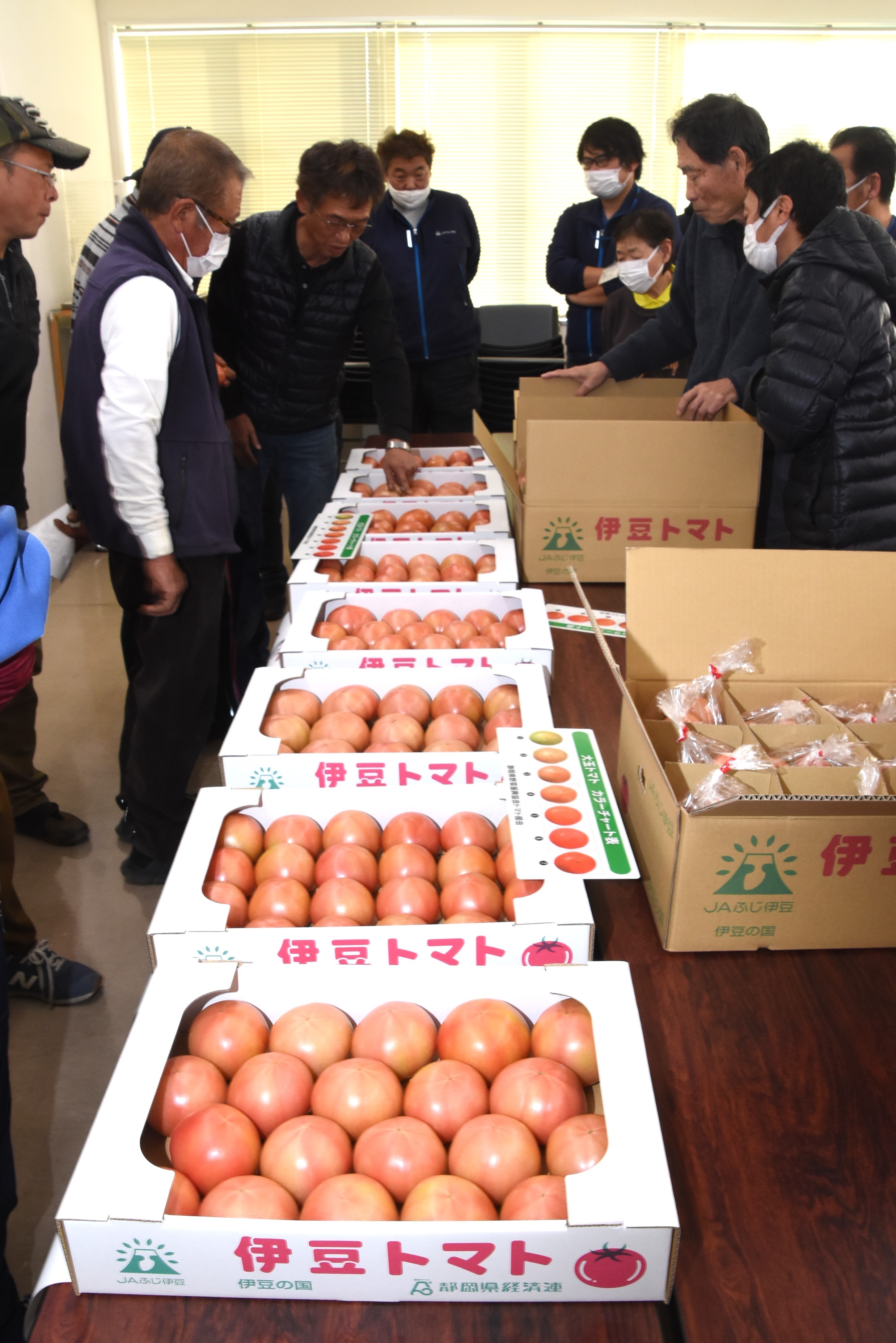 大玉トマトの出荷規格などを確認する生産者ら＝伊豆の国市のＪＡふじ伊豆韮山野菜集出荷場
