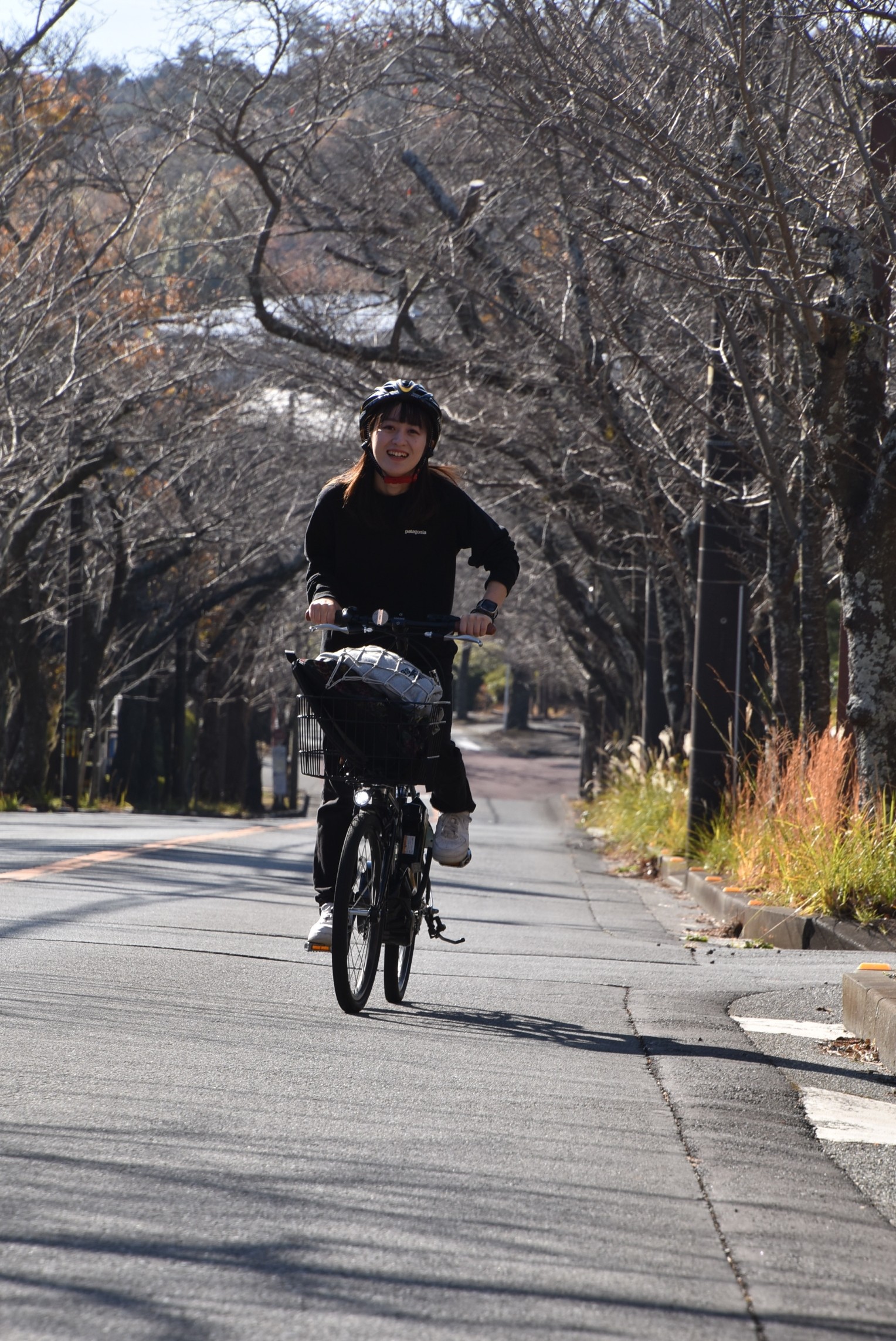 電動アシスト付き自転車で、桜並木の坂道を上る＝伊東市八幡野