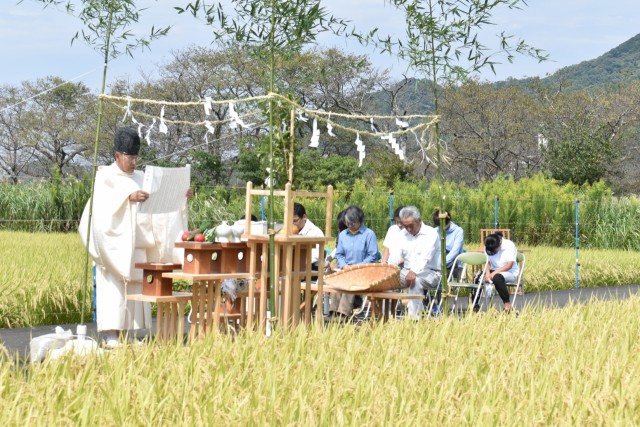 山本太美雄さんの圃場で新嘗祭献上米を収穫、皇居に献上（１０月）＝松崎町伏倉