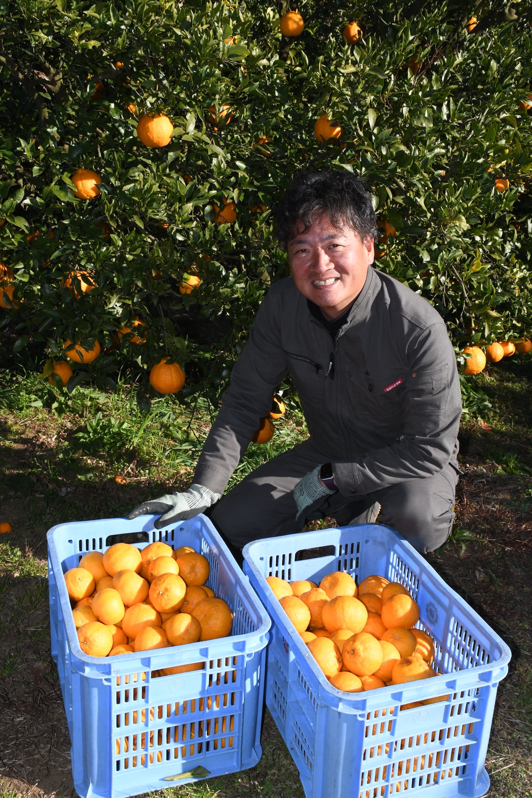 培ったマーケティングスキルで「稼げる農業を実証したい」と語る永井さん＝伊東市宇佐美