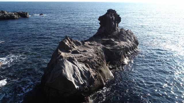 海に向かってほえるライオンのような形をした「ライオン岩」＝東伊豆町大川