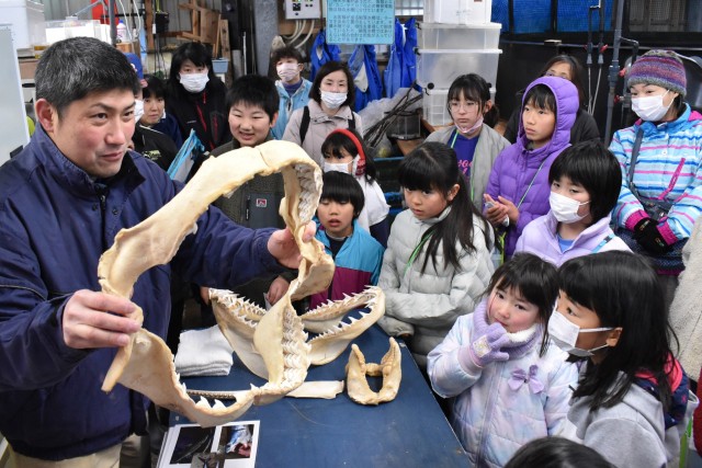 サメの歯の標本を観察する子どもたち＝下田市三丁目の下田海中水族館