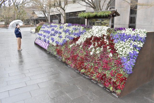 楽寿園の駅前口に設置された富士山を表現した花のオブジェ＝三島市の楽寿園