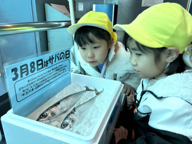 丸ごと展示されたサバ＝下田市三丁目の下田海中水族館