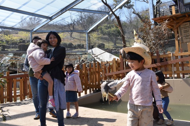 鳥体験「ことりまみれ」を楽しむ子ども＝東伊豆町の伊豆アニマルキングダム