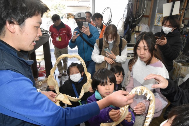 水族館のバックヤードツアーでサメの歯を触る子どもたち＝下田市の下田海中水族館（１０日）