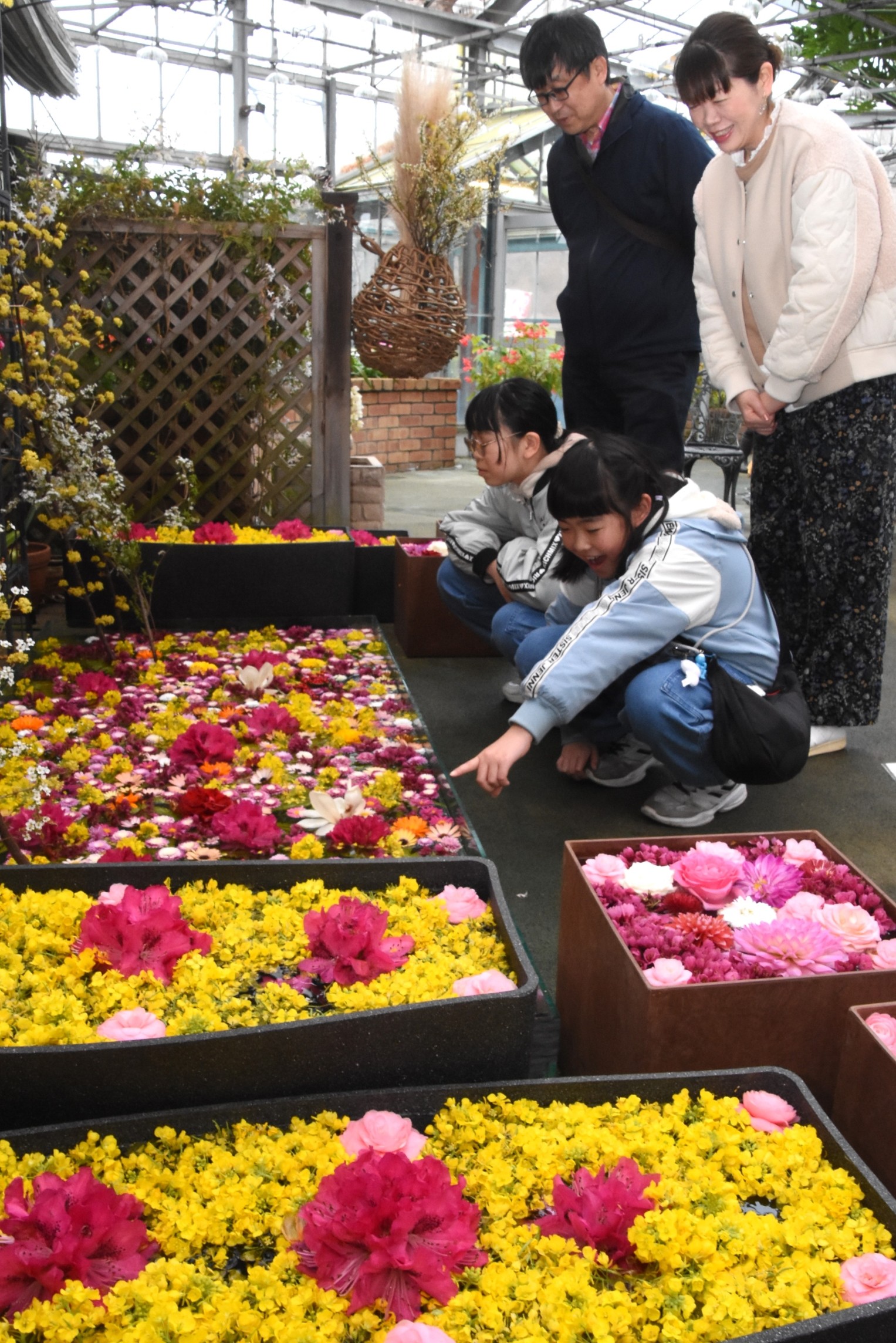 色彩豊かな春の花が水に浮かぶ「花手水展」＝伊豆市の修善寺虹の郷
