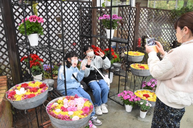 色彩鮮やかな春の花が水に浮かぶ「花手水展」が４月７日まで開かれている＝伊豆市の修善寺虹の郷（２５日）
