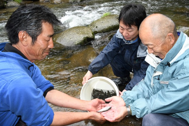 放流するアマゴの稚魚を確認する漁協関係者ら＝伊豆市湯ケ島